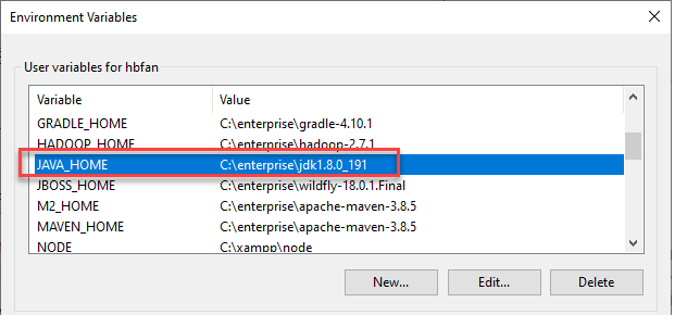 Figure 2: User environment variables